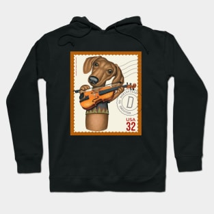 Cute Doxie playing violin Hoodie